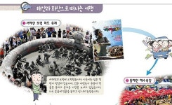 보령머드축제 고등학교 교과서 실린다