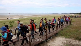 이국적인 모래언덕과 해변을 걷다