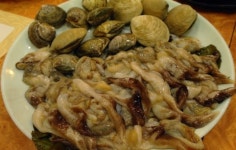 둔산 수협회센터.새해부터 새조개,주꾸미축제