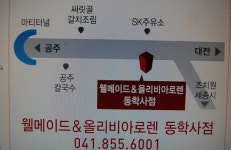 웰메이드. 올리비아로렌 동학사점 오픈