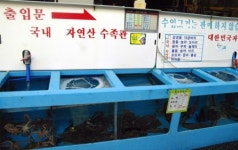 자연산 회 믿고 먹을 수 있는 곳, 형제횟집