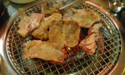 쫄깃하고 담백한 맛의 여유, 오늘 유성뒷고기