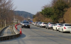계족산황톳길 맨발축제 중단, 알고 보니..