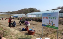 NH농협은행, 행복채움 주말농장 개장식 열어