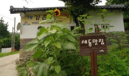 한국인의 밥상에 출연한 ‘강은순 맛집’