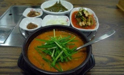 사계절보양식 모미가 어죽 화제