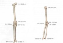 키 작은 아이, 칼슘제 투여·성장호르몬 주사 효과는