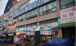 노은수산물도매시장 14년 만에 활성화 기대 ‘↑’
