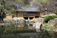 옛 모습 되찾은 남간정사의 봄