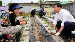 유천1동, 호미로 일구는 행복공동체
