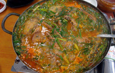 삼복더위 날려버릴 대전 대표보신탕 ‘옥천집’