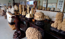 수석 전시장과 석갈비 한 곳에서 식후경