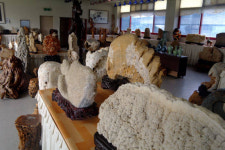 수석 전시장과 석갈비 한 곳에서 식후경