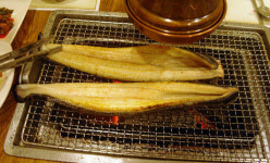 가을장어는 보약, 최고의 민물장어 ‘임진강장어