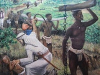 농업 아프리카의 희망, 대전 세계양봉 대회