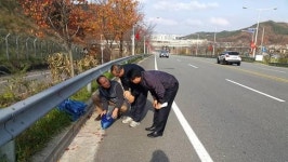 대전 서구, 올겨울 제설작업 미리미리 철저하게