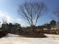신흥문화공원 개장