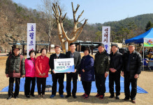 뿌리공원의 상징 연리지 느티나무