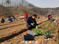 세종시 주말농장 열기, 올해는 대란 없을까?