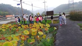 대전 서구, 환경부 도랑 살리기 공모사업 5년 연속 선정