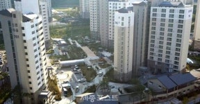 우려스러운 세종시 아파트 단지 내 상가 공급
