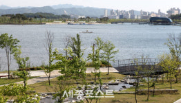 블루길이 점령한 세종호수공원, 두고만 볼 건가