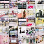 애견샵 요미독 안양점, 차별화된 성격에 따른 맞춤 분양 실시