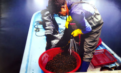 여름 더위 이겨낼 보양식 올갱이국 ‘금강올갱이‘