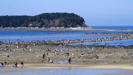 보령 무창포 해수욕장 10년 연속 무사고