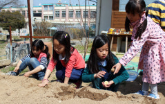 폐교 직전 세조시 수왕초, 학부모 입소문 난 ‘이유’