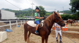 논산 연산초 승마 배우러 학교가요