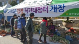 옛 충남도청 앞마당에 ‘2016 김장김치 채소 직거래 장터’ 열려