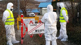 충남 아산시 인주·신창면 AI ‘추가 발생’