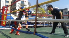 제13회 대전광역시 동구협회장배 킥복싱대회 열려
