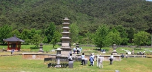 보령시 봄 여행코스 ‘익스트림부터 힐링까지’