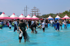 서천군, 자연산 광어 도미 축제 개최