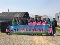 충남도개발공사 여자정구선수단 농촌일손돕기 앞장