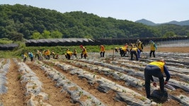 서구, 유휴농지 생태체험 학습장 운영