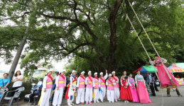 동구, 풍성한 행사와 함께 판암골 단오한마당 ‘성료’