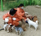 대전동물보호센터를 다녀왔어요