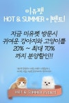 부산강아지분양 전문 애견샵 미유펫, 핫썸머 할인이벤트 진행
