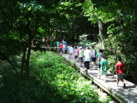 올 여름 휴가는 금산산림문화타운으로