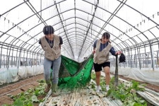 단국대, 천안지역 수해복구 봉사로 온정 나눠
