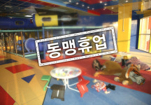 충남사립유치원 동맹휴업…‘보육대란’ 오나