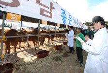 보령시, 충남도내 최고 한우·돼지 가렸다