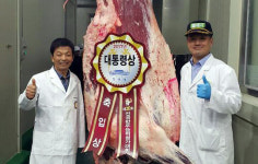 충남서 ‘대한민국 1등 한우’ 배출