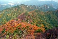 [주말날씨] 완연한 가을, 계룡산 단풍 절정