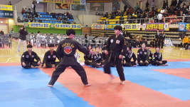 충남도합기도협회, 올 전통스포츠 전국 합기도 대회 우승