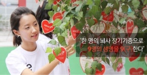 10명 중 7명 “장기 기증 하겠다”