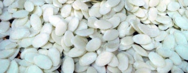 소포장 판매하는 떡국 떡, 대전 전통 동네떡집 7選